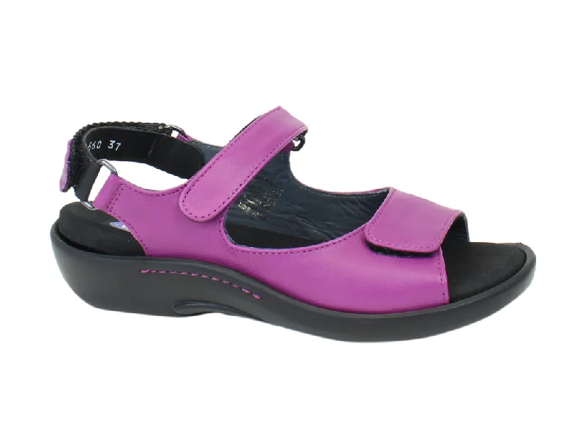 Stylish sandals for women with wide ankle straps and buckle detailing for fashionable look-Wolky Sandals Salvia Bougainville